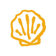 Morocco Surf Camp 77 shell yellow icon