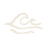 wave icon