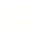 whatsapp icon big